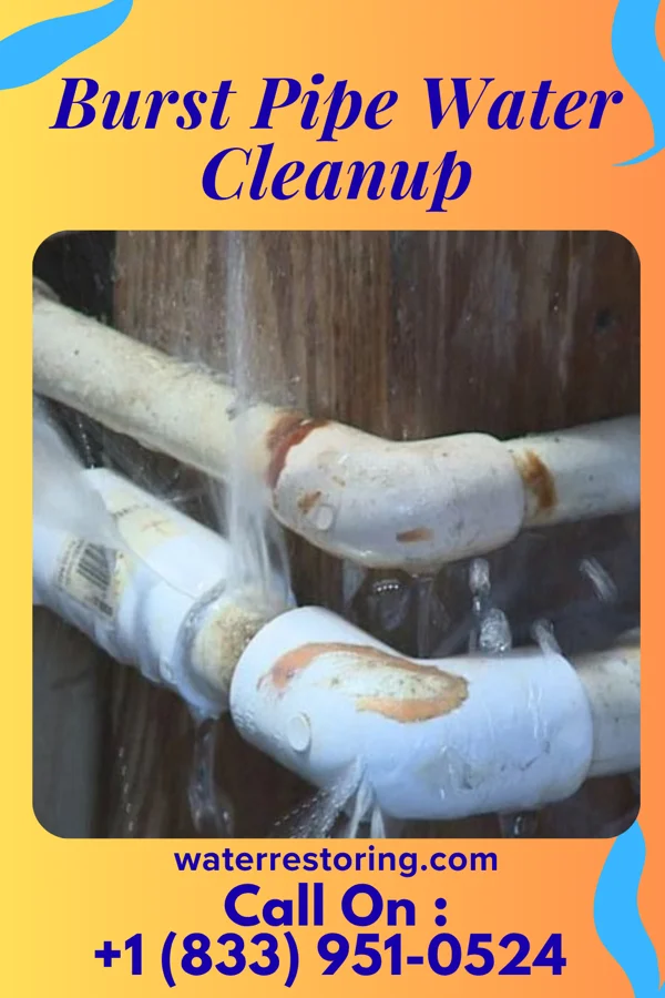 Burst Pipe Water Cleanup in Navarre, OH