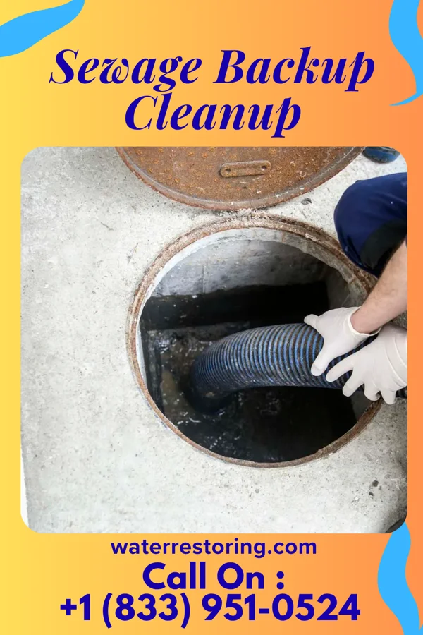 Sewage Backup Cleanup in Navarre, OH