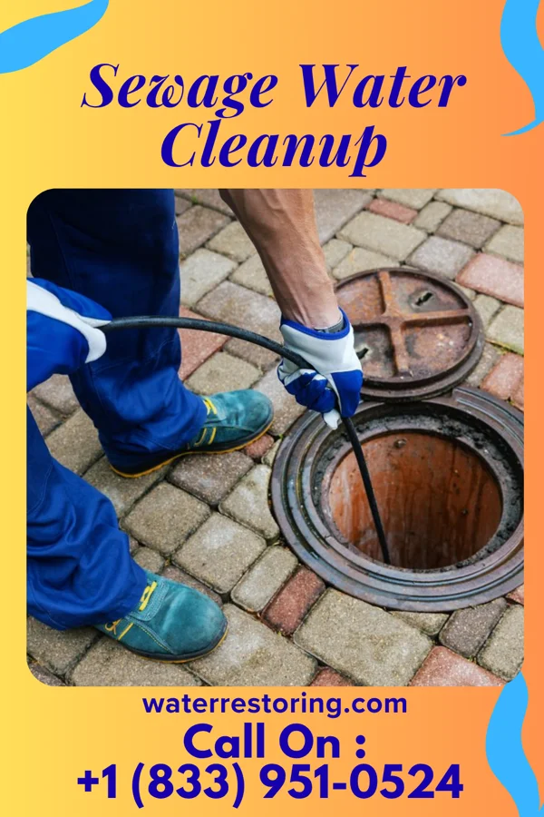 Sewage Water Cleanup in Navarre, OH