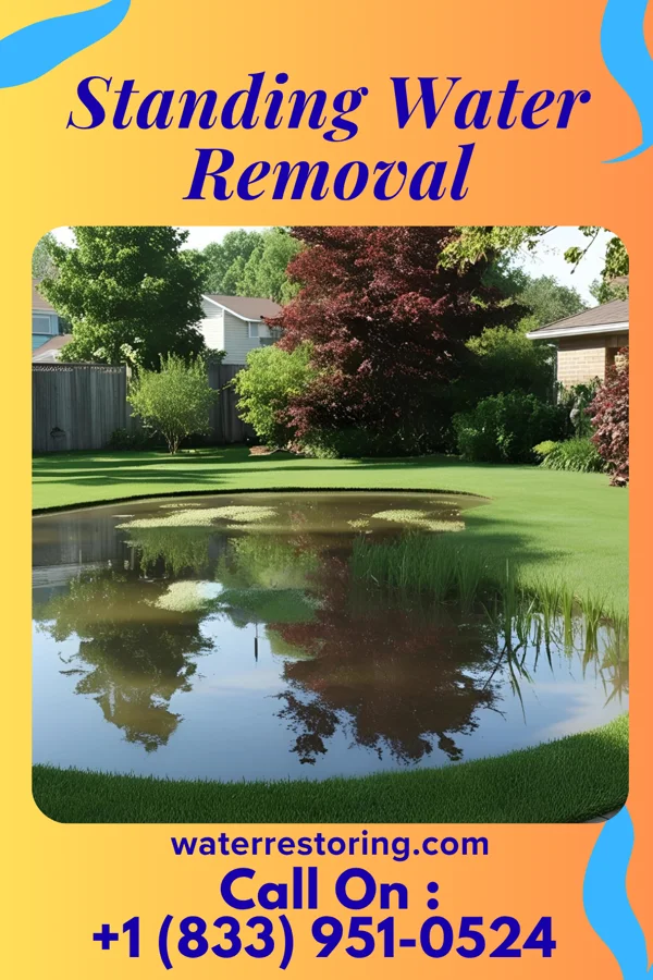 Standing Water Removal in Navarre, OH